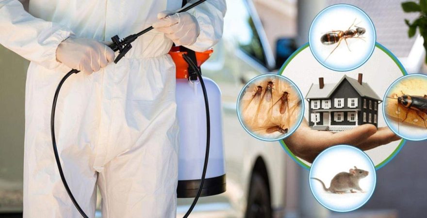 Suşehri Böcek İlaçlama