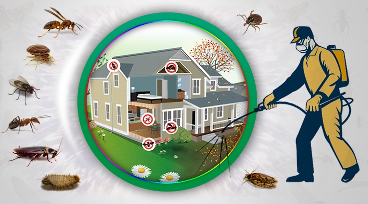 Suşehri Böcek İlaçlama