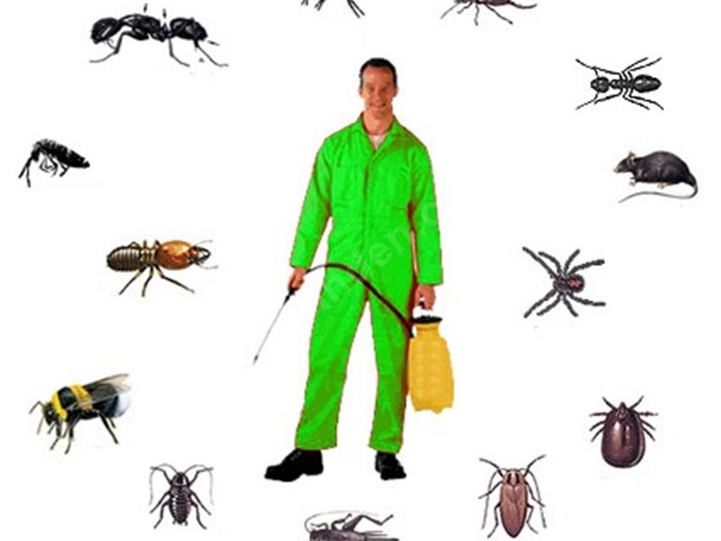 Suşehri Böcek İlaçlama